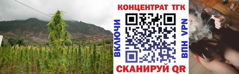 ТГК вейп  где купить наркоту  Новочеркасск 