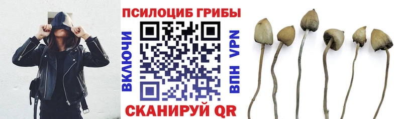 Псилоцибиновые грибы MAGIC MUSHROOMS  Новочеркасск 