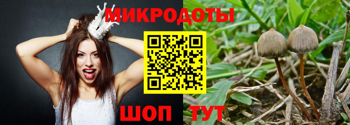 Галлюциногенные грибы Cubensis Новочеркасск