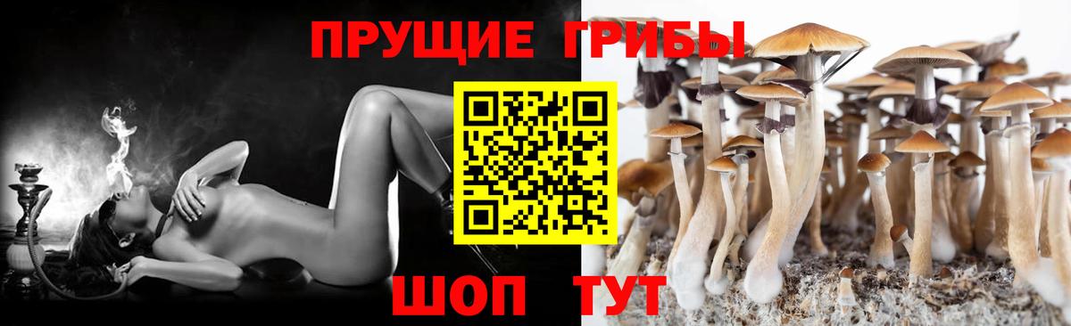 Новочеркасск  как найти закладки  Вход с VPN  Галлюциногенные грибы прущие грибы 